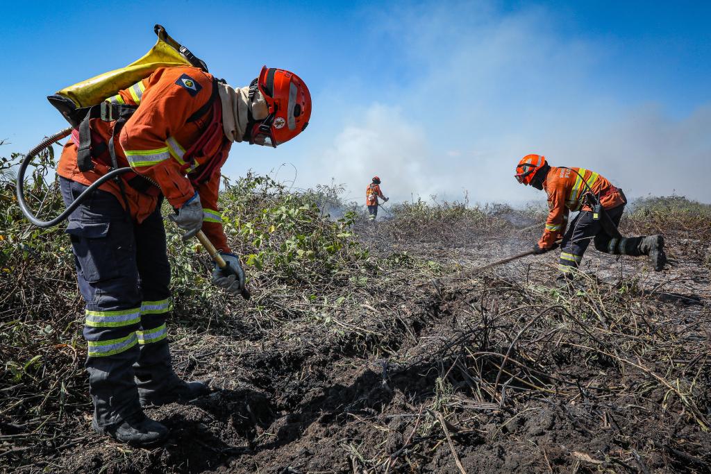 Decreto estabelece período proibitivo de uso do fogo em Mato Grosso