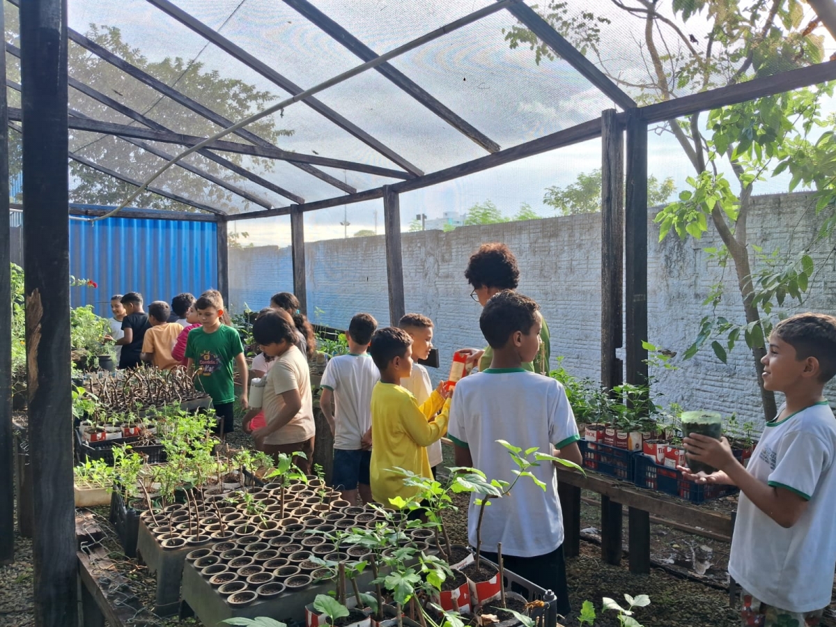 Oficina no Museu do Cerrado propõe protagonismo de alunos na preservação da natureza