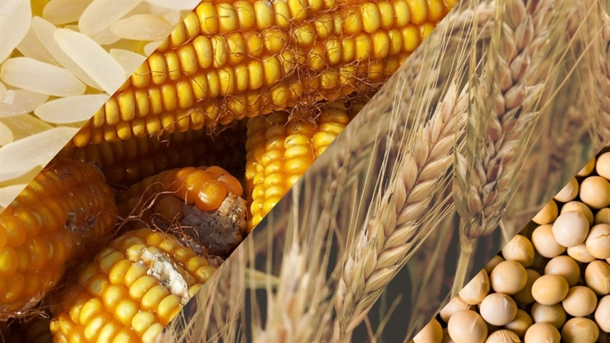 Medida Provisória autoriza abertura de crédito extraordinário para mitigação dos efeitos do El Niño